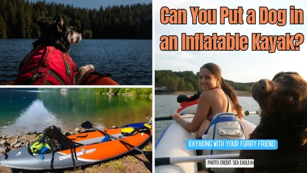 Can You Bring Your Dog in an Inflatable Kayak?