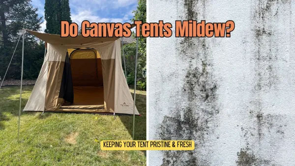 Do Canvas Tents Get Mildew? Unveiling the Truth