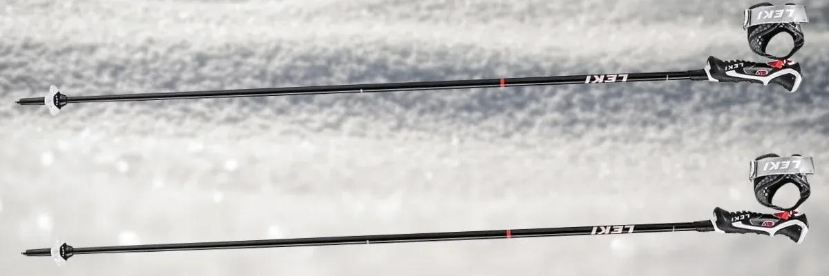 best ski poles