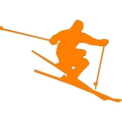 Best Ski Poles