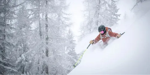 best skis 2023/24