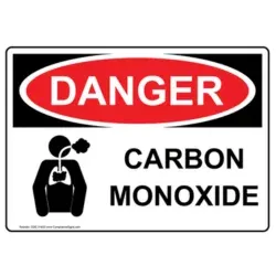 carbon monoxide poisoning