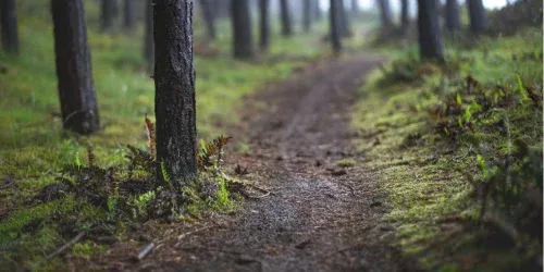 What Do Hikers Use for Pillows? Comfort on the Trail