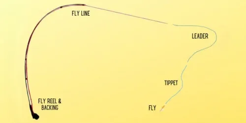 tippet fly fishing blog
