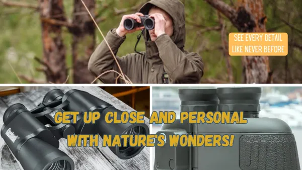 Spotting the Spectacular: Our Picks For The Top Five 10x50 Binoculars