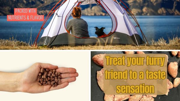 Bark on the Trail: Rating the Top 6 Freeze Dried Dog Treats